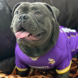 Meet your Posher, Lu anne